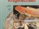 bartagamen_und_kragenechsen_650639803