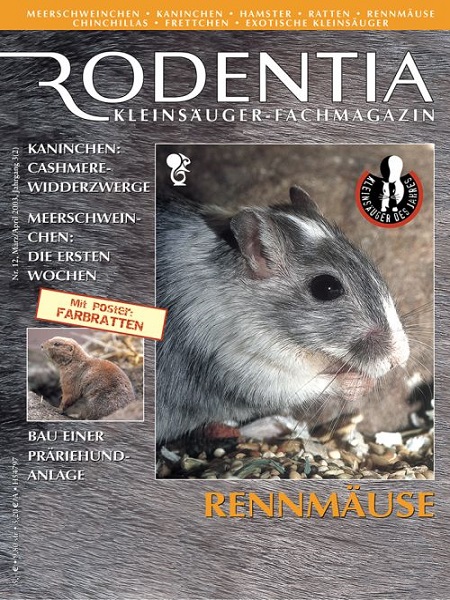 rodentia_12_rennmaeuse