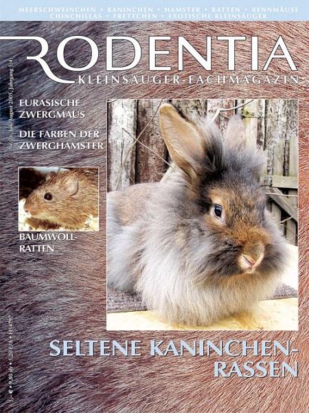 rodentia_26_seltene_kaninchenrassen