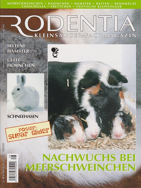 rodentia_28_nachwuchs_bei_meerschweinchen