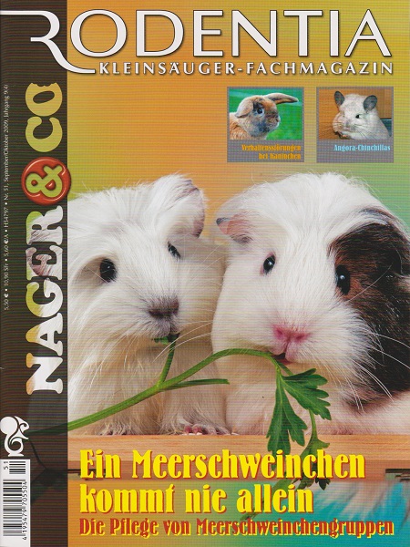 rodentia_51_ein_meerschweinchen_kommt_nie_alleine