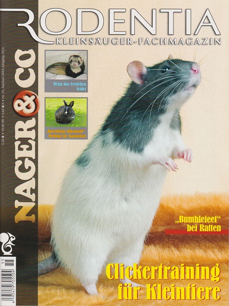 rodentia_55_clickertraining