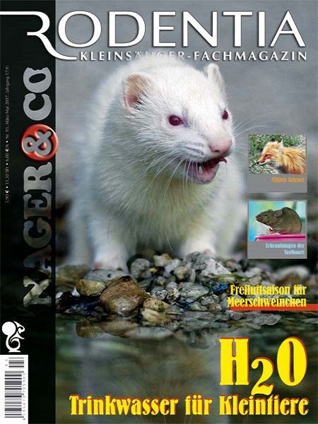 rodentia_93_trinkwasser