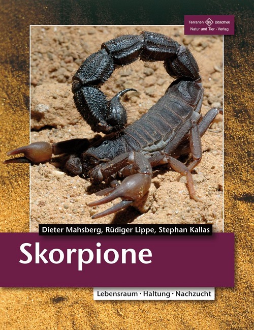 skorpione