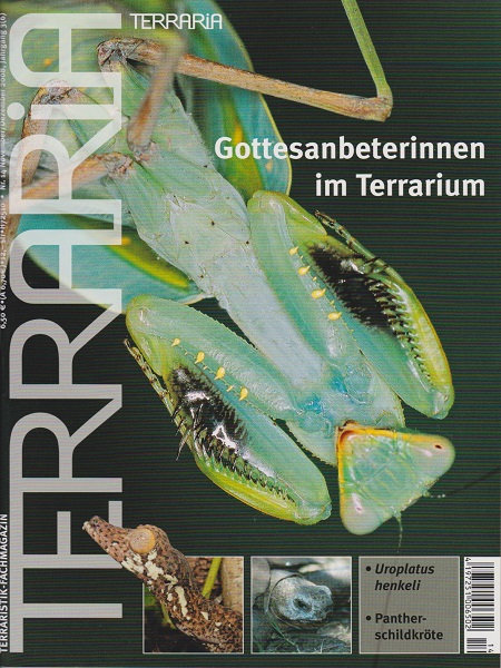 terraria_14_gottesanbeterinnen_im_terrarium