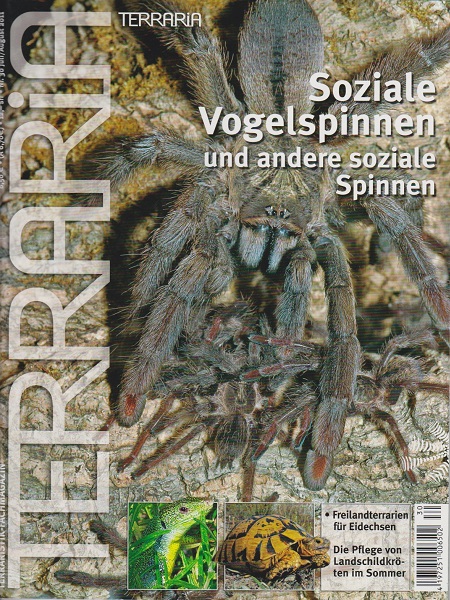 terraria_30_soziale_vogelspinnen_2020686082