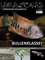 amazonas_118_bullenklasse_923163914