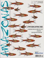 amazonas_14_zwergfische