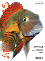 amazonas_47_tropheus