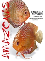 Amazonas Nr. 4 – Alenquer Diskusbuntbarsche im Aquarium