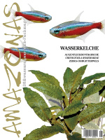 amazonas_56_wasserkelche_2