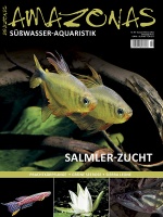 amazonas_99_salmler-zucht