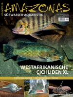 amazonas_nr__103_-_westafrikanische_cichliden_xl_819689614