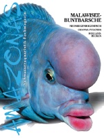 amazonas_nr__22_-_malawisee-buntbarsche