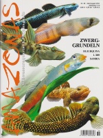 amazonas_nr__36_-_zwerggrundeln_in_der_natur_und_im_aquarium