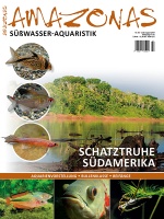 amazonas_nr__84_-_die_unglaubliche_fischfauna_suedamerikas_30346855