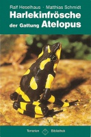 Harlekinfrösche der Gattung Atelopus 
