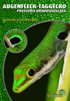 augenfleck-taggecko_phelsuma_quadriocellata