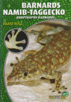 barnards_namib-taggecko_rhoptropus_barnardi