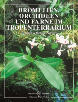 bromelien_orchideen_und_farne_im_tropenterrarium