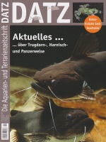 datz_-_aktuelles_uber_trugdornwelse_harnischwelse_und_panzerwelse