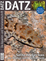 datz_-_seltene_geckos_in_natur_und_im_terrarium
