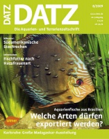 datz_0809_904432305