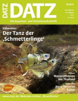 datz_0810_c