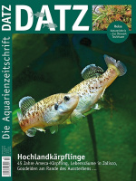 datz_10-2016_hochlandkaerpflinge