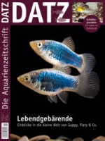 datz_1111_cover