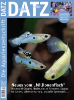 datz_1213_cover