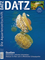 datz_2-2018_quallen