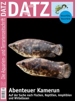 datz_4-2024_-_abenteuer_kamerun