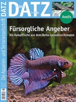 datz_6-2023_fuersorgliche_angeber