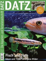 datz__-_fisch_und_foto_-_aquarienfotografie_2053914965