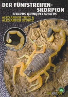der_fuenfstreifen-skorpion_909394997