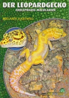 der_leopardgecko