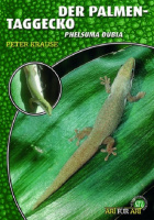 der_palmen-taggecko_phelsuma_dubia