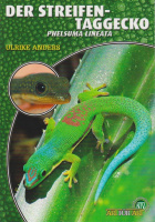 der_streifentaggecko_phelsuma_lineata