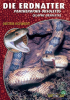 die_erdnatter_pantherophis_obsoletus_elaphe_obsoleta