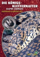 die_koenigskletternatter_elaphe_carinata_1604883900