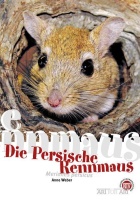 die_persische_rennmaus