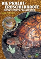 die_pracht-erdschildkroete_455421975