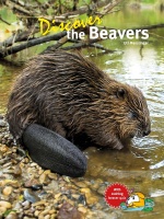 discover_the_beavers__9783866595125