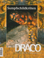 draco_13_sumpfschildkroeten