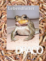 draco_28_-_lebendfutter_fuer_amphibien_und_reptilien