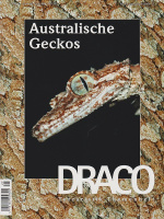 draco_29_australische_geckos
