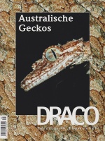 draco_29_australische_geckos_930957957