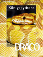 draco_35_koenigspythons