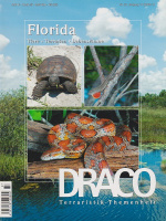 draco_37_florida